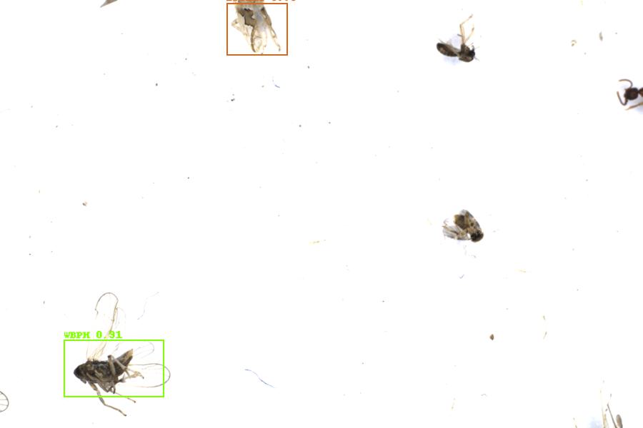 Image 6